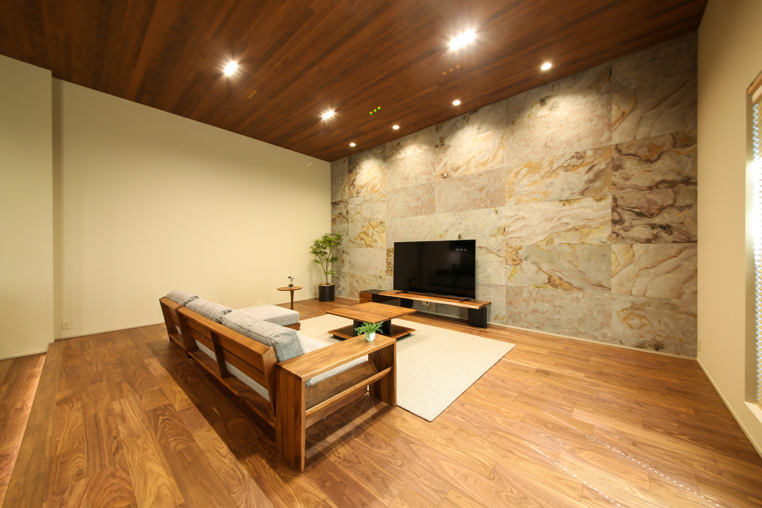 液晶テレビのプロモーション動画撮影にてご利用いただきました